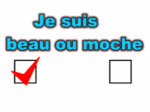 Je suis beau ou moche